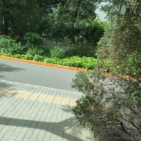 allofme6于2021-05-23 15:29发布的图片