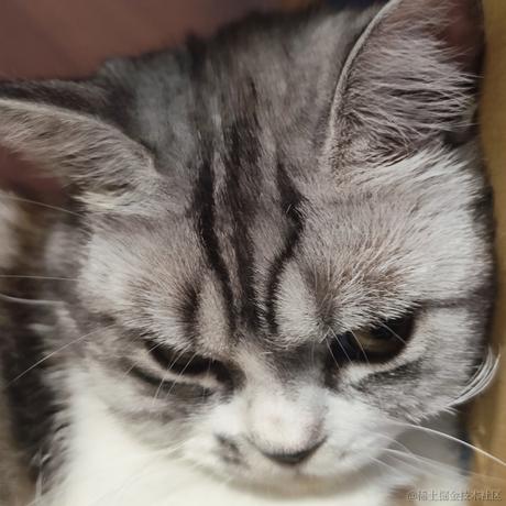 吃鱼的不一定是猫于2024-07-01 13:22发布的图片