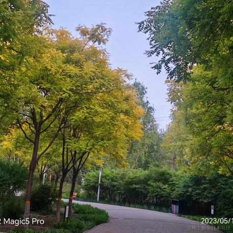 矮人三等于2023-05-15 08:32发布的图片