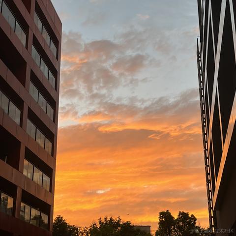 皮皮酱子于2023-09-01 11:11发布的图片