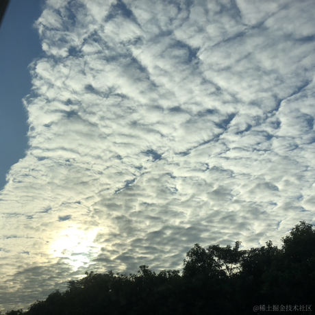 糖糖今天吃什么0107于2022-12-09 01:22发布的图片