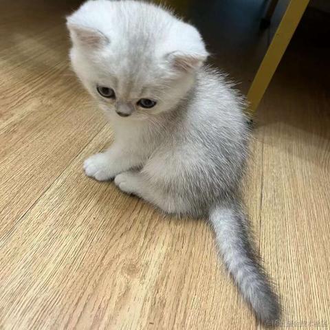 不爱吃小面于2023-05-17 10:06发布的图片
