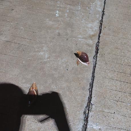 松蟹于2022-11-23 08:48发布的图片