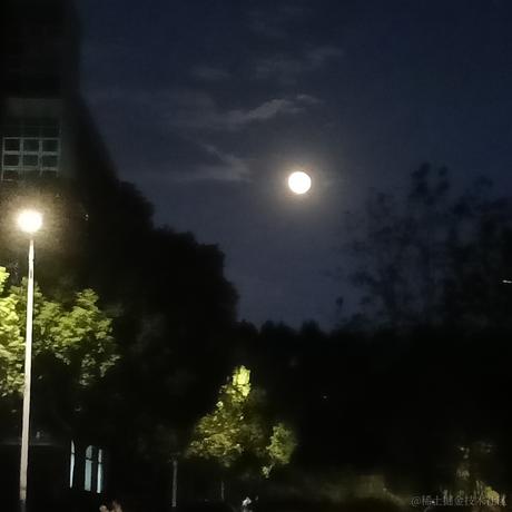 所飒于2022-11-10 13:38发布的图片