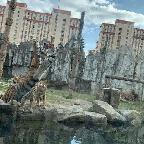 用户6726145106864于2021-09-26 22:39发布的图片