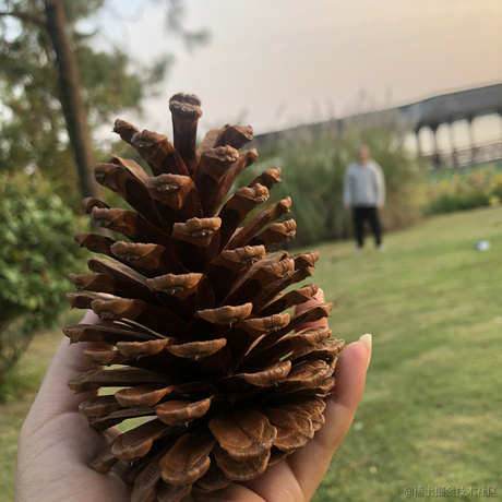 春春0613于2022-11-26 22:11发布的图片