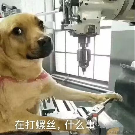 晚宝碗宝于2022-12-12 23:53发布的图片