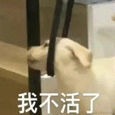对对对你说得对于2022-12-20 00:43发布的图片