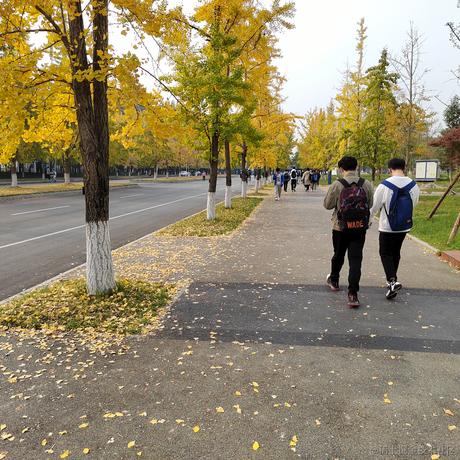 夏韭菜于2022-11-24 23:31发布的图片