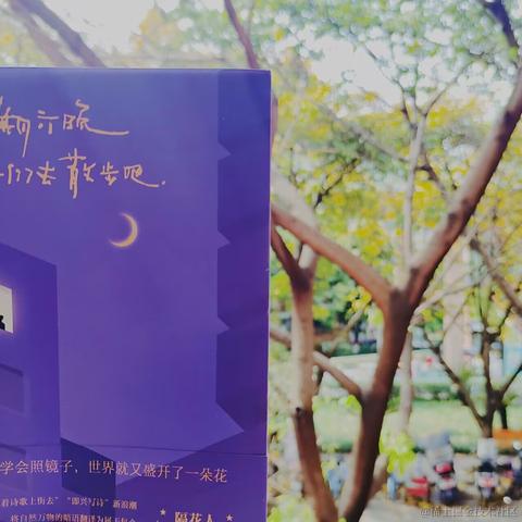 N0rma1于2023-04-18 22:25发布的图片