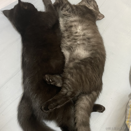 heronCCC于2022-11-25 09:33发布的图片