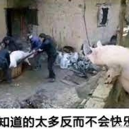 啊哈_于2023-03-01 08:48发布的图片