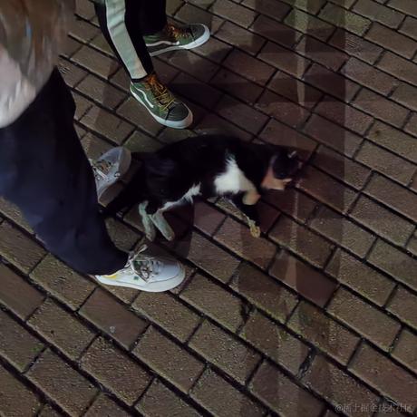 蒸虾头于2022-11-27 00:04发布的图片