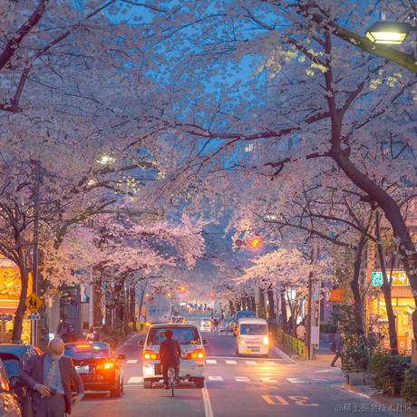 洛亦仙于2021-09-27 20:25发布的图片