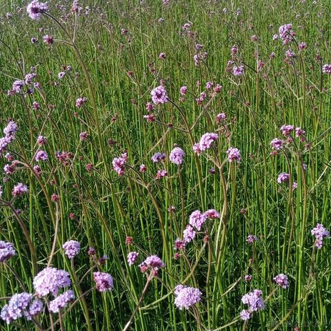 浮途途于2023-04-30 18:51发布的图片