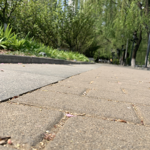 小欣幸于2022-05-01 08:38发布的图片