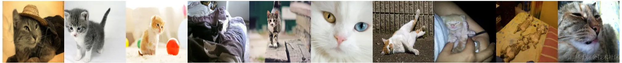 image-20240709100355205