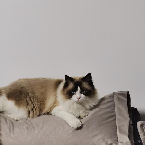 烤肉电线杆于2022-12-13 21:01发布的图片