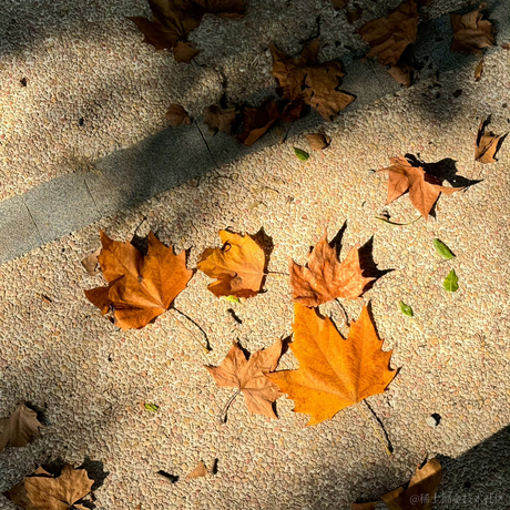 juicesoo于2023-10-23 13:12发布的图片