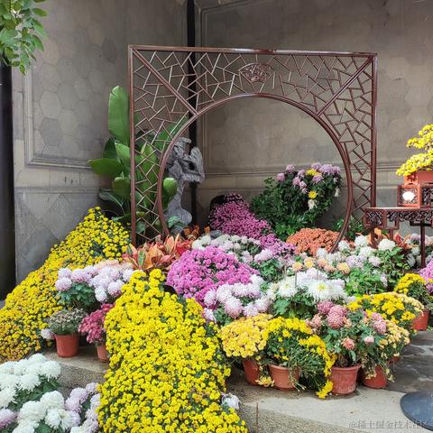 优秀稳妥的金枪小魔王于2023-11-28 11:00发布的图片