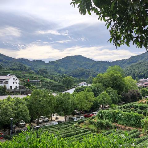 可乐真好吃于2021-07-27 08:51发布的图片