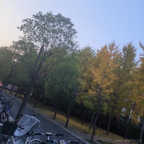 蓝莓南瓜派于2022-11-24 07:42发布的图片