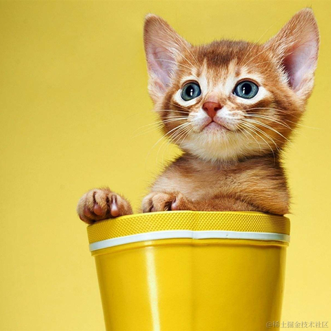 我是个靓崽于2023-04-25 16:51发布的图片