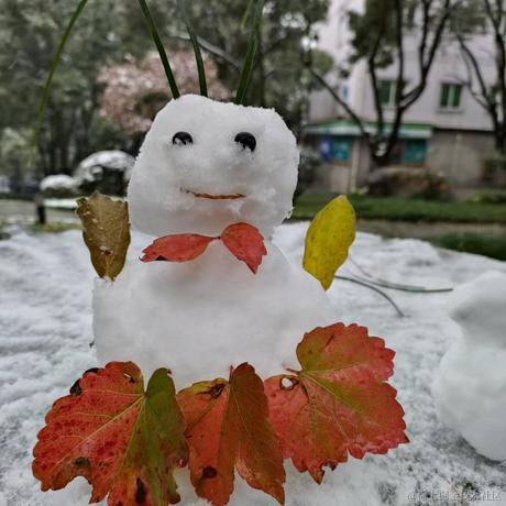 好无语886于2022-12-03 20:56发布的图片