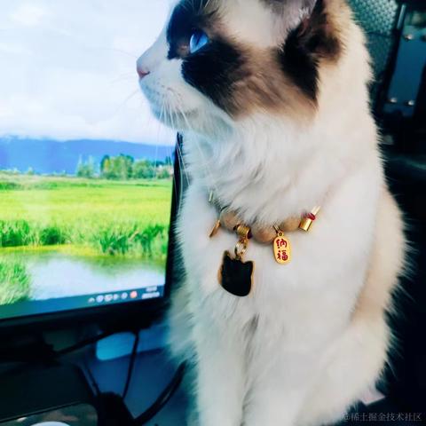 陈一月的编程岁月于2023-08-11 16:12发布的图片