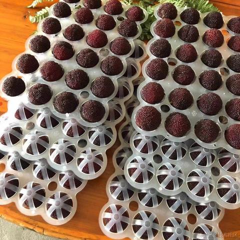 坚果派_坚果于2022-06-14 06:54发布的图片