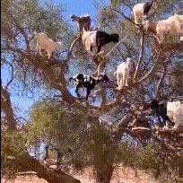 德育处主任于2024-04-21 11:58发布的图片