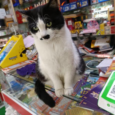 囧史密斯于2022-11-14 19:52发布的图片