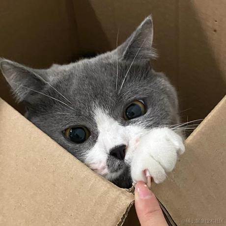 请叫我_议员于2022-11-30 17:21发布的图片