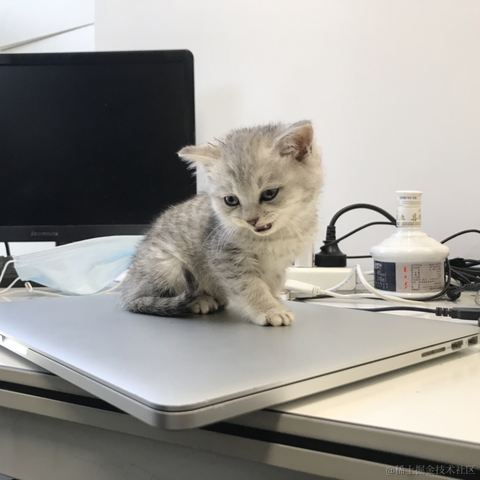 陇锦于2020-11-24 16:26发布的图片