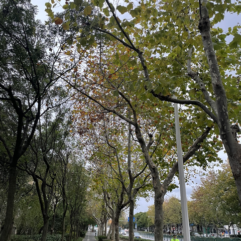 阿殷于2022-12-20 11:32发布的图片