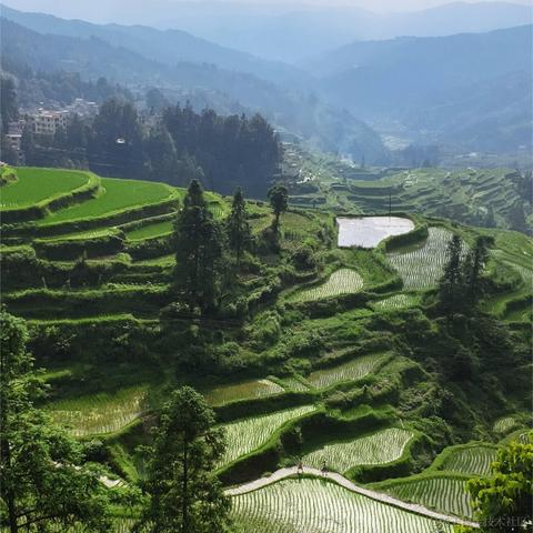 雕狸狮狒于2024-06-24 10:14发布的图片