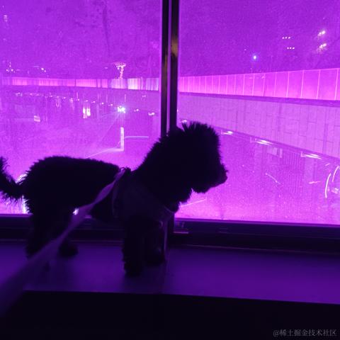 璇天凤舞于2023-05-17 01:12发布的图片