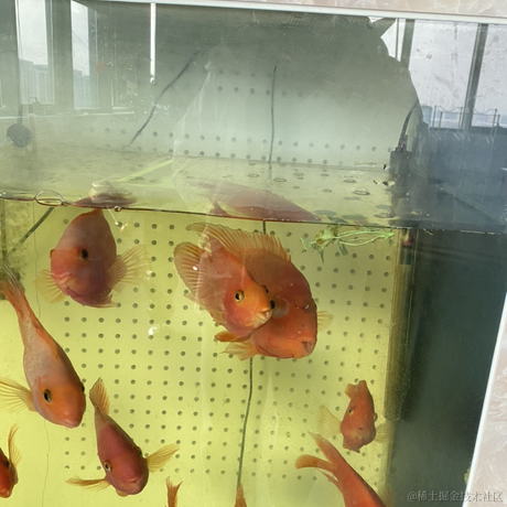 一拳一个小朋友于2022-01-31 21:34发布的图片