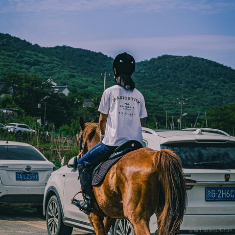 吾与徐公孰美耶于2024-06-05 09:33发布的图片