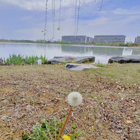 ntses于2023-04-01 18:38发布的图片