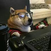 给我死里卷的个人资料头像