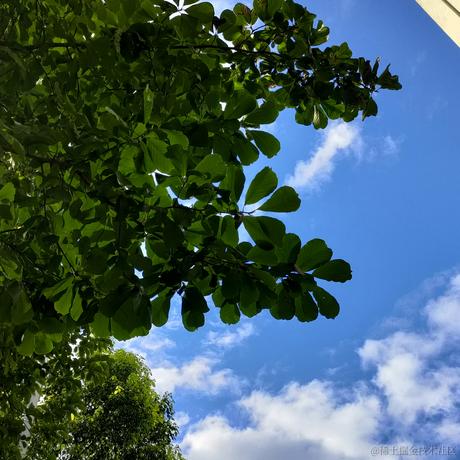 L简于2023-06-27 10:34发布的图片