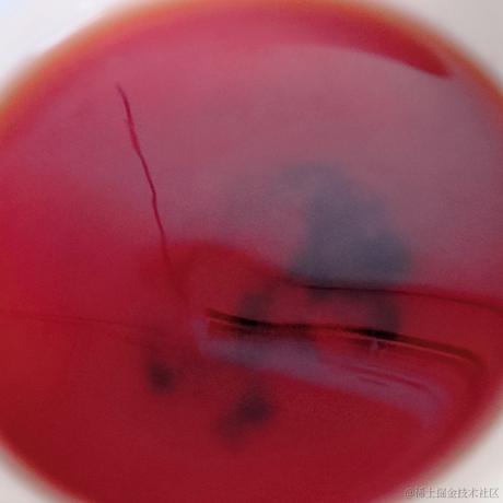 嘉然今天学c语言于2022-12-30 18:52发布的图片