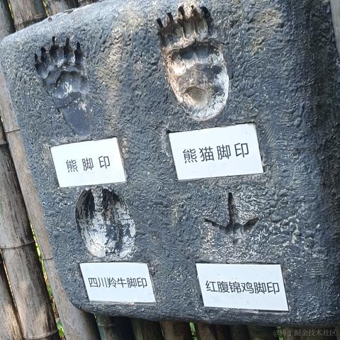 贝極星于2022-11-29 00:07发布的图片