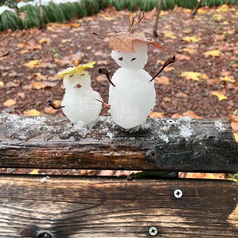 林夕lucky于2022-12-01 14:42发布的图片