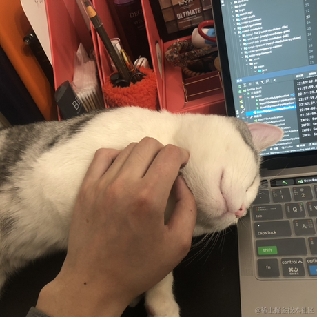 LZ_James于2022-02-09 23:01发布的图片