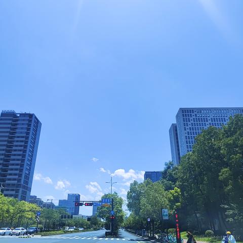 星_星于2024-07-05 14:10发布的图片