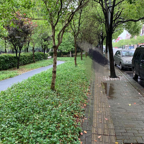 西元前_gc于2021-05-20 09:47发布的图片