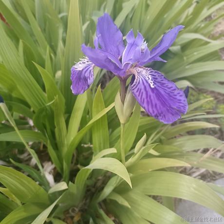 爱璀璨于2023-04-13 07:36发布的图片