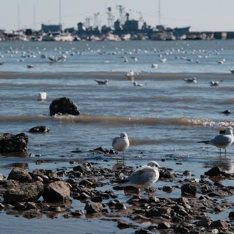 你好我就要起飞了于2022-12-24 08:53发布的图片